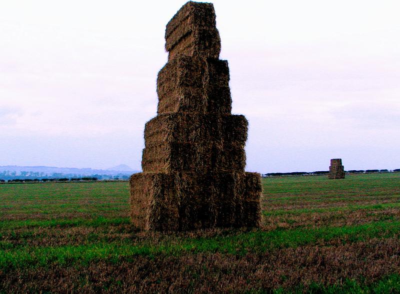 Haystacks at Markle.jpg